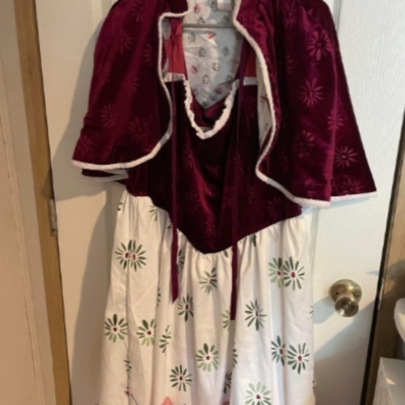 Disney dress shop 3x women’s haunted mansion dress